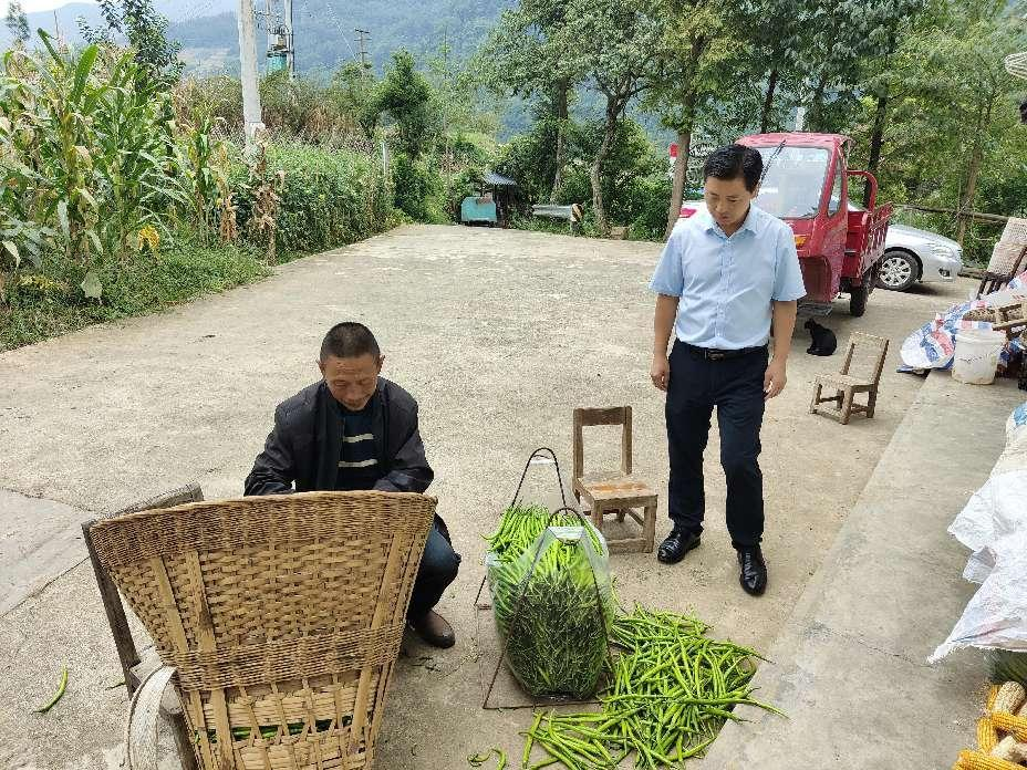 图片4.png 图片4.png