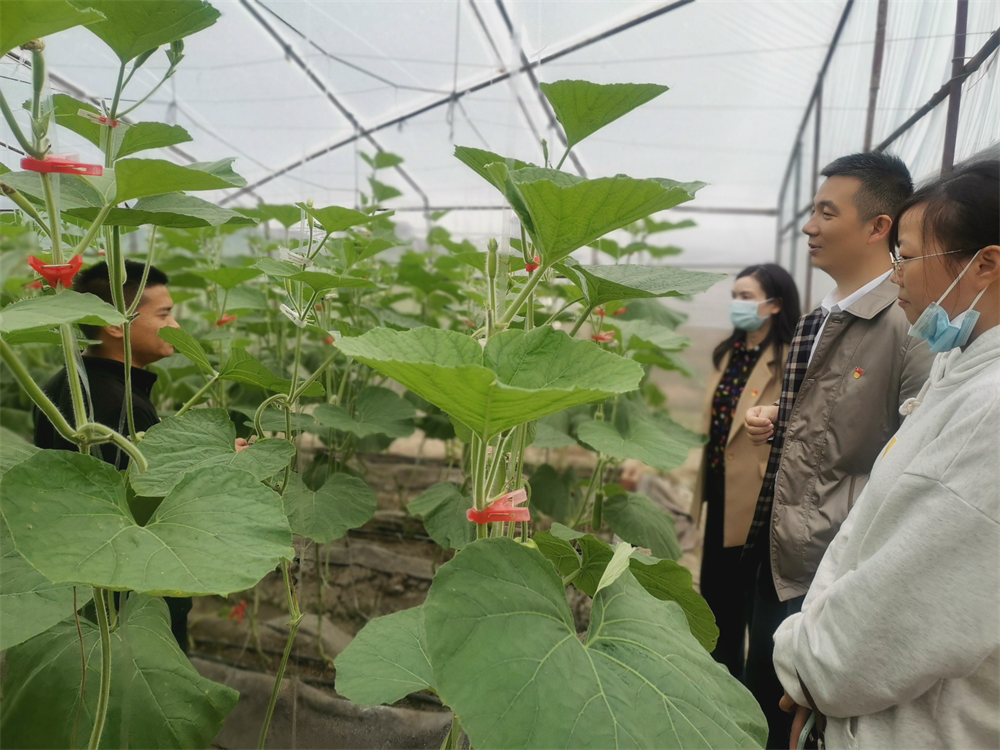 图片3.png 图片3.png