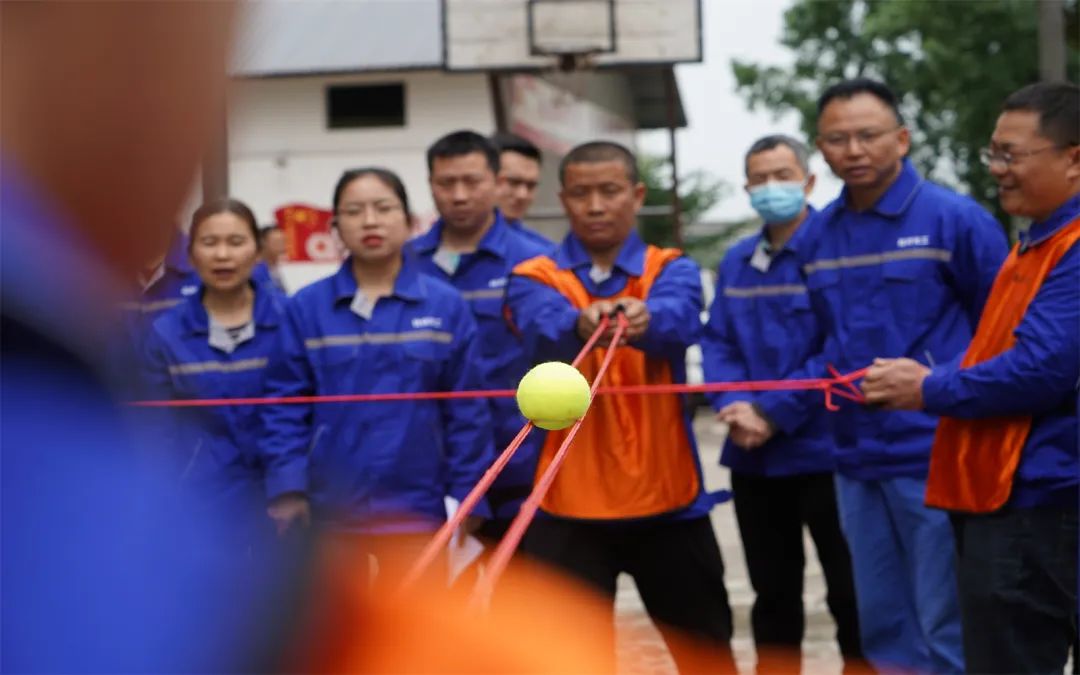 图片3.jpg 图片3.jpg