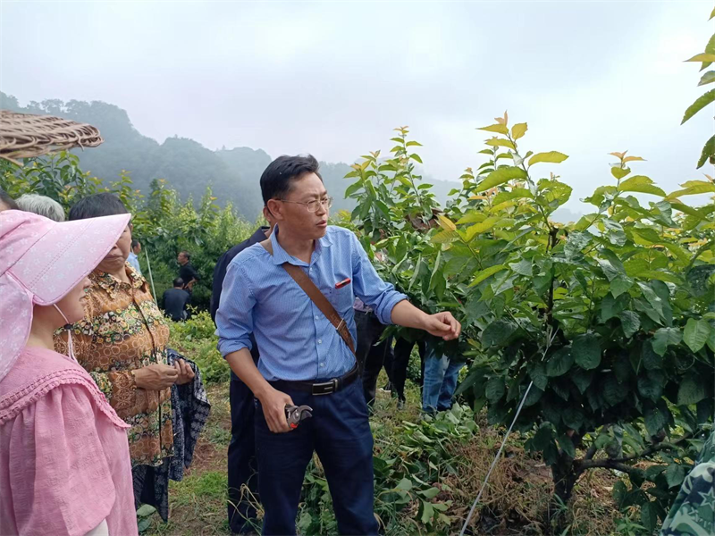 图片1.png 图片1.png