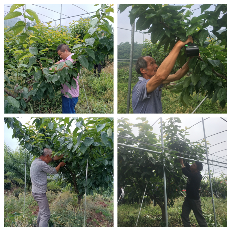 图片2.png 图片2.png