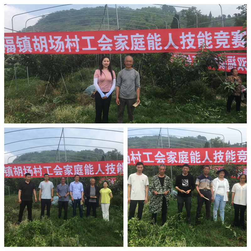 图片3.png 图片3.png