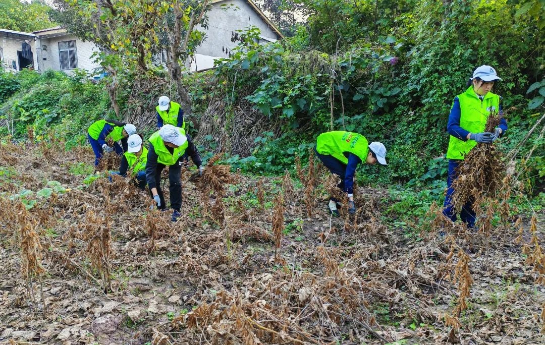 高速2.jpg 高速2.jpg