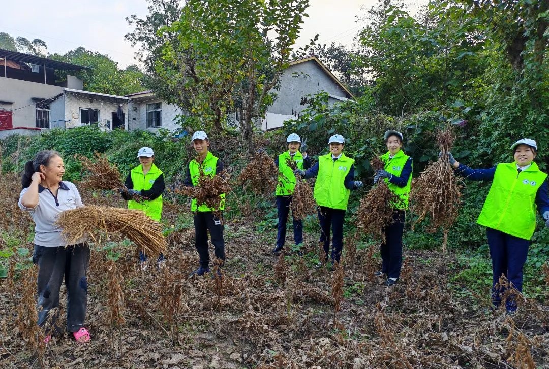 高速.jpg 高速.jpg