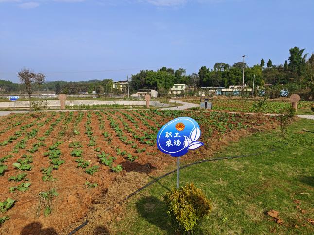 图片3.jpg 图片3.jpg