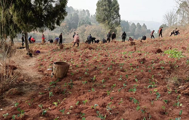 图片2.png 图片2.png