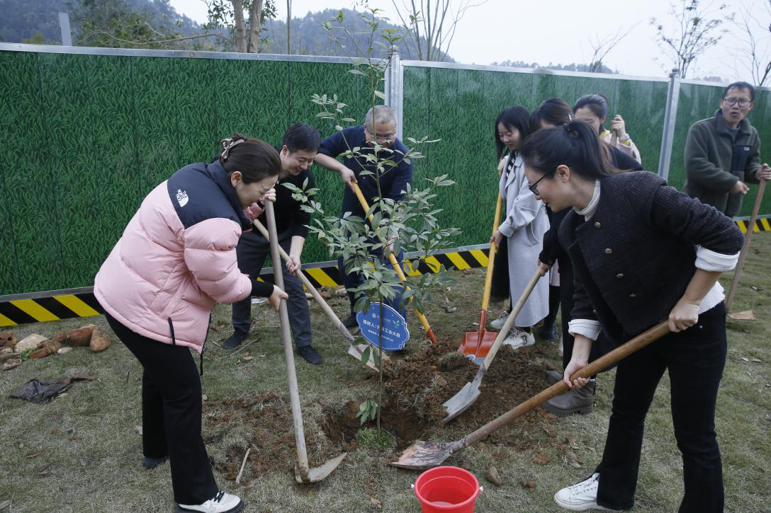 图片4.png 图片4.png