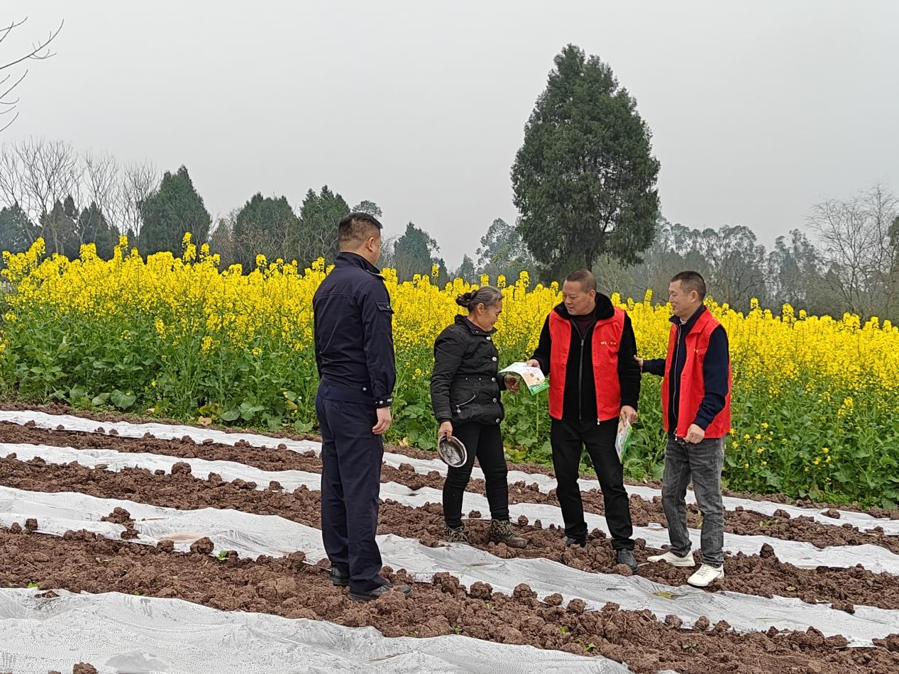 图片1.png 图片1.png