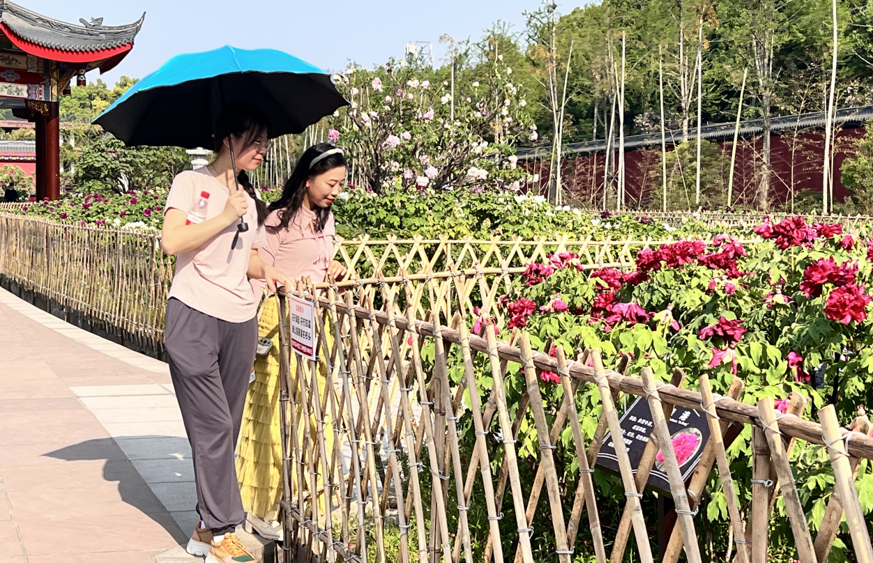 截图_选择区域_20250411091102.png 截图_选择区域_20250411091102.png