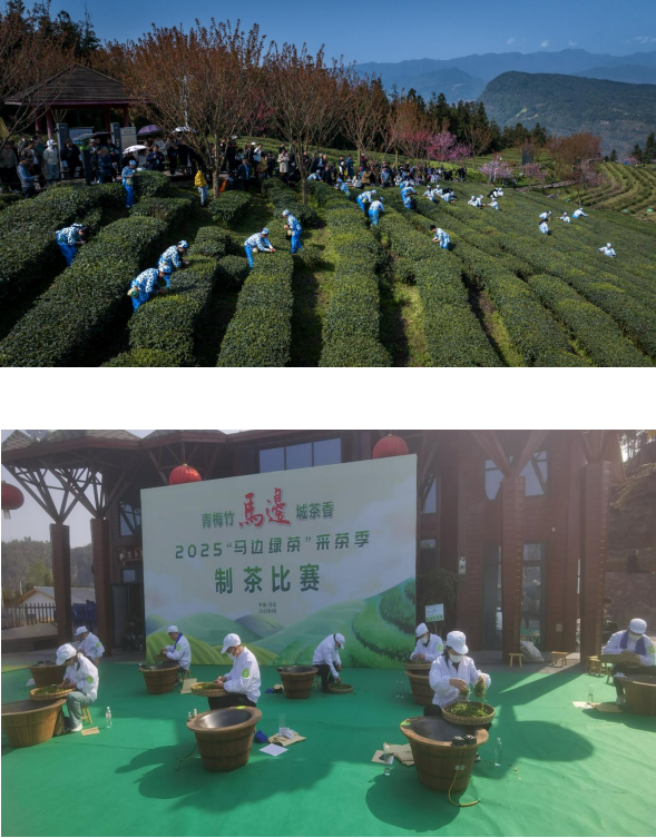 1744364497514.png 1744364497514.png