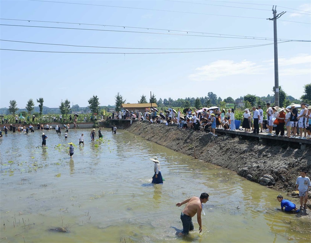 微信图片_2025-08-14_145921_013.jpg 微信图片_2025-08-14_145921_013.jpg