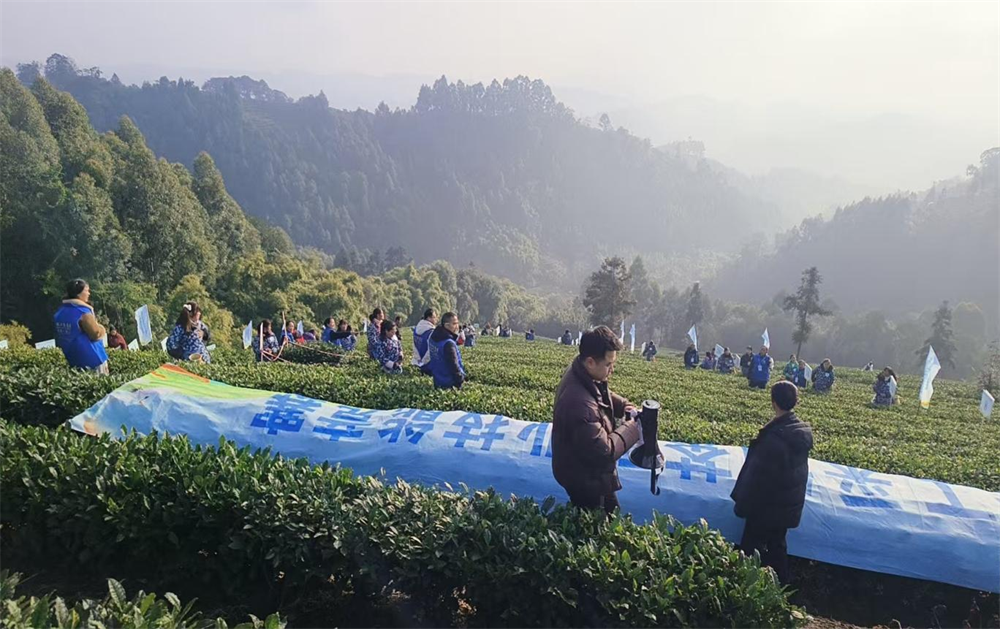 图片2.png 图片2.png